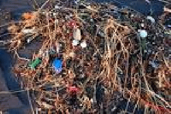 From flickr.com: Plastic Ocean | See how many pieces of plastic you can find | Flickr1024 Ã-- 681 - 740k - From flickr.com: Plastic Ocean | See how many pieces of plastic you can find | Flickr1024 Ã-- 681 - 740k -