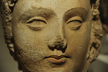 Close up. Face of Lord Buddha, head of curly hair, lips, almond shaped eyes, Pakistan or Afghanistan, Gandharan region, 4th/6th century, stucco with traces of pigment,  Art Institute of Chicago, Illinois, USA