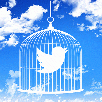 Are Social Media sites putting Alternative Views in a Cage?