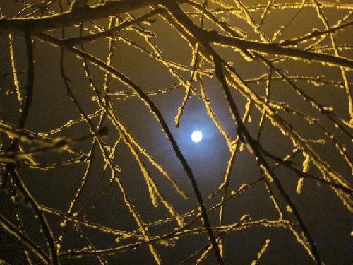 Taurus Full Moon on a Frosty Night, From ImagesAttr