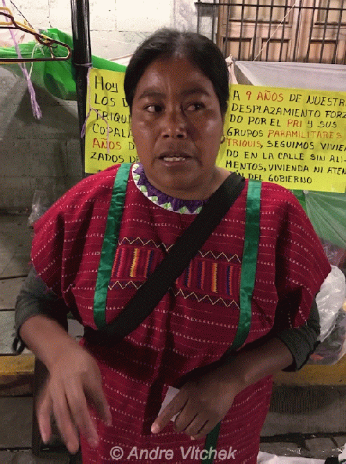 spokesperson of indigenous people displaced and now struggling in Oaxaca