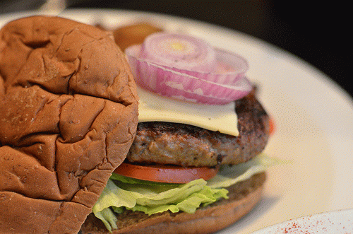 Hamburger, From FlickrPhotos