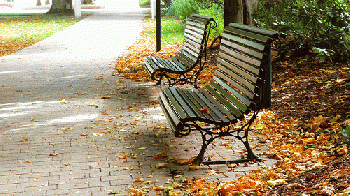 Park benches, From FlickrPhotos