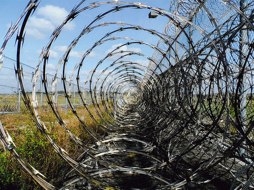 Prison Fence barbed wire