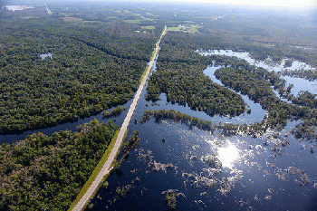 Aerial photo of flooding caused by Hurricane Florence., From FlickrPhotos