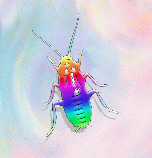 Cockroach