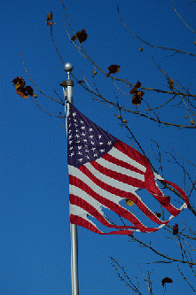 Sad Flag, From FlickrPhotos