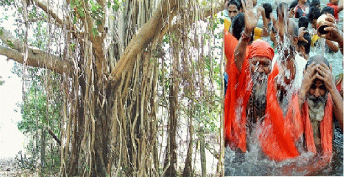 Akshay Vat (left) and devotees, From ImagesAttr