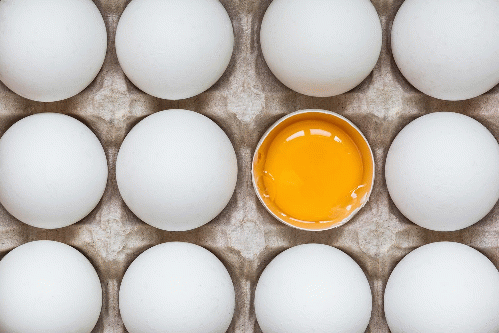 Eggs are as good for you as cigarettes, From Uploaded