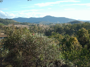 Glastonbury mountain QLD - panoramio