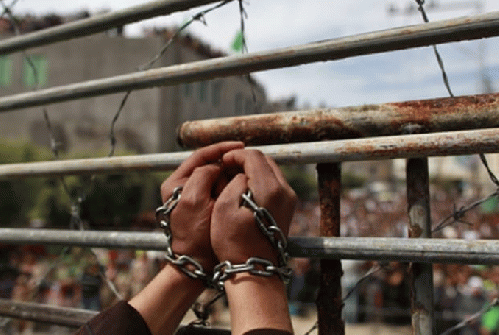 Palestinian prisoners have, without question, demonstrated their tenacity and ability to devise ways to resist the Israeli occupier throughout the years.