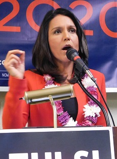 Tulsi Gabbard in Culver City CA, From InText