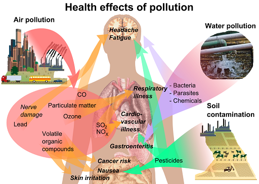 Pollutants have a variety of health impacts, From InText