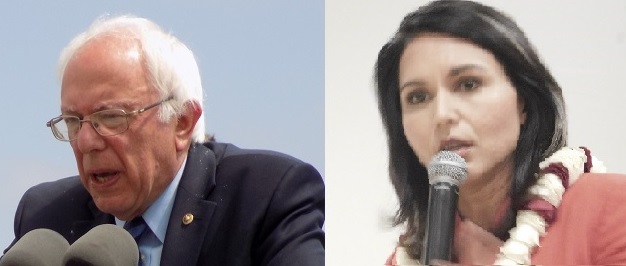 Bernie Sanders and Tulsi Gabbard, From InText