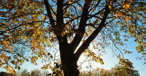 The Rights of Nature movement is asserting the obvious: Earth's biosphere is not a free candy store for our taking. The Rights of Nature movement is asserting the obvious: Earth's biosphere is not a free candy store for our taking.