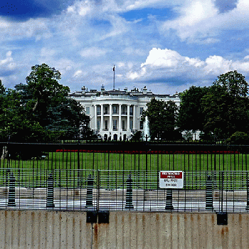 From flickr.com: The White House, Washington DC  