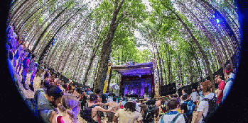 Electric Forest Festival - Rothbury, MI, USA, From FlickrPhotos