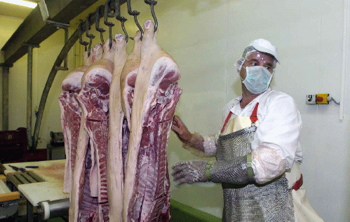 US Slaughterhouses are staffed by immigrants, From Uploaded