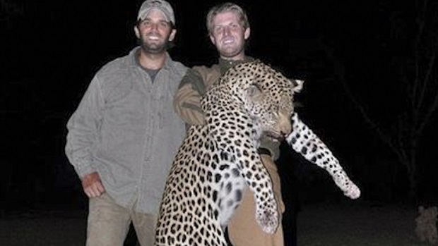 Donald Trump Jr. and Eric Trump are avid trophy hunters as are a number of Trump's wealthier supporters and campaign donors A 2010 photo shows the two proudly posing with a leopard they killed in Zimbabwe, From InText