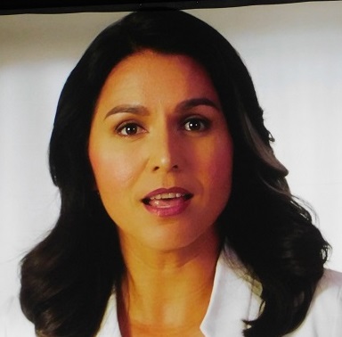 Tulsi Gabbard on Video at DNC Meeting