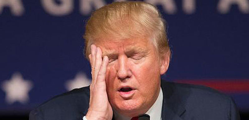 Trump facepalm, From InText