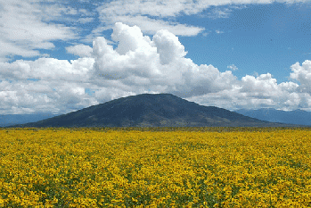 Rio Grande National Monument, From FlickrPhotos