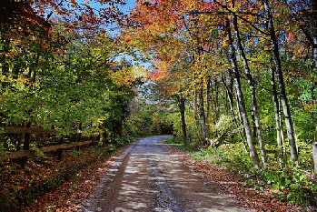 Autumn trees country road fence, From FlickrPhotos