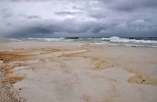 Oil stained beaches in Pensacola, Florida