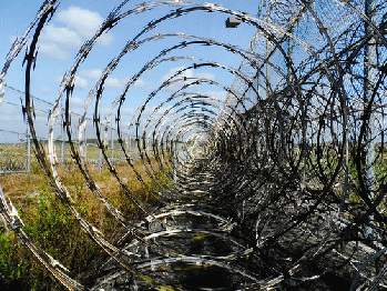 Prison Fence barbed wire