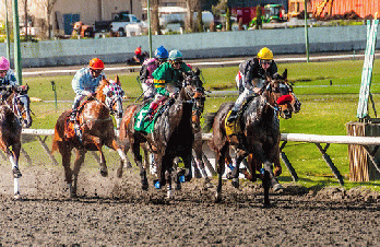 Horses racing!  Also, jockeys!, From FlickrPhotos