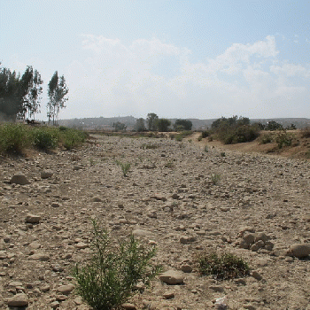 Dry river bed, From FlickrPhotos