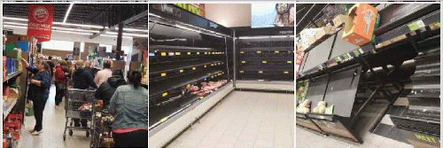 Empty shelves and a line of at least 15 carts where there are usually only 2 or 3