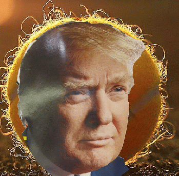Trump orange tennis ball head