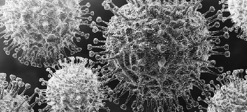 Coronavirus detail., From Uploaded