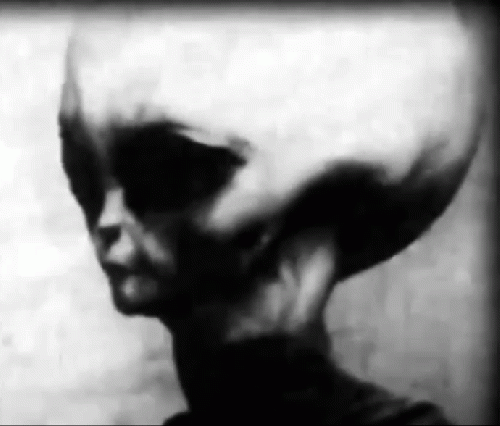 Skinny Bob, From Uploaded