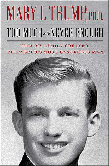 Too Much and Never Enough Front Cover