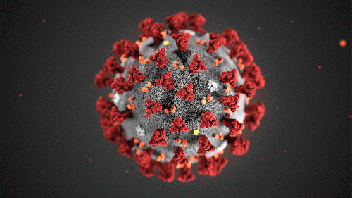 COVID-19 Virus