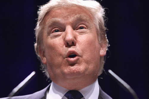 From live.staticflickr.com: Donald Trump  