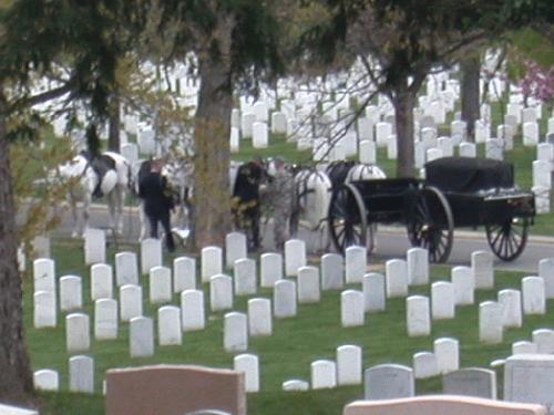 Funeral at Arlington Cemetary, From CreativeCommonsPhoto