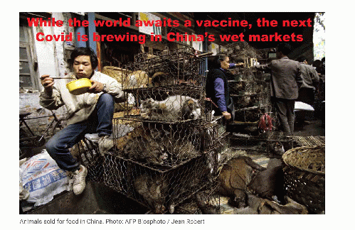 Vaccines won't stop the viruses these markets produce, From Uploaded