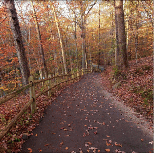 Pennypack park trail, Philadelphia, From Uploaded