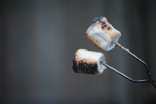Marshmallows, From CreativeCommonsPhoto