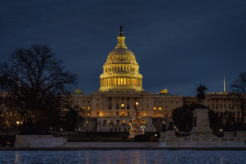 U.S. Capitol Christmas Tree, From CreativeCommonsPhoto