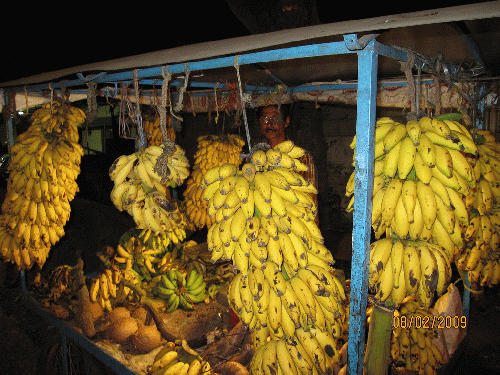 Banana Republic