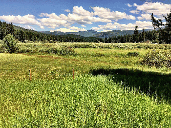 Yaak Valley, Montana, From CreativeCommonsPhoto