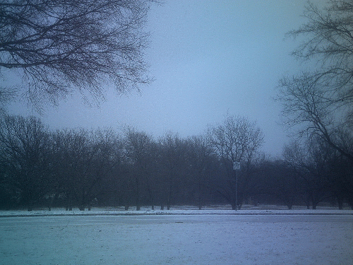 Texas Winter Storm