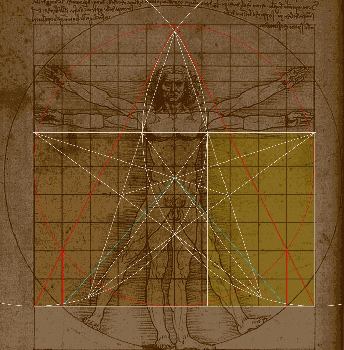 Recreating da Vinci's 'Vitruvian Man' (Canon Man), From CreativeCommonsPhoto