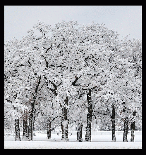 Texas Snow