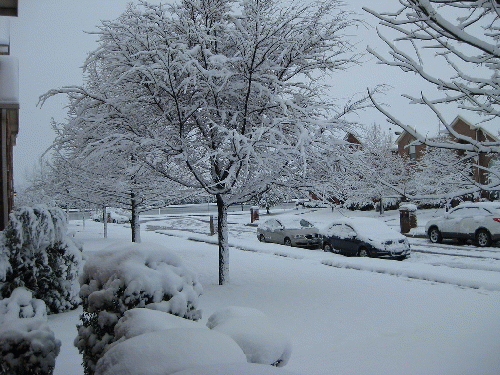 Texas Snow Storm, From CreativeCommonsPhoto