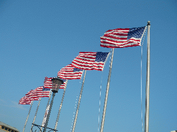 American Flags, From CreativeCommonsPhoto